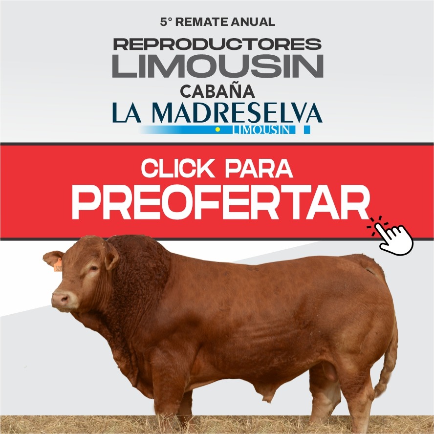 5° Remate Anual Reproductores Limousin — Cabaña La Madreselva. Click para pre-ofertar.