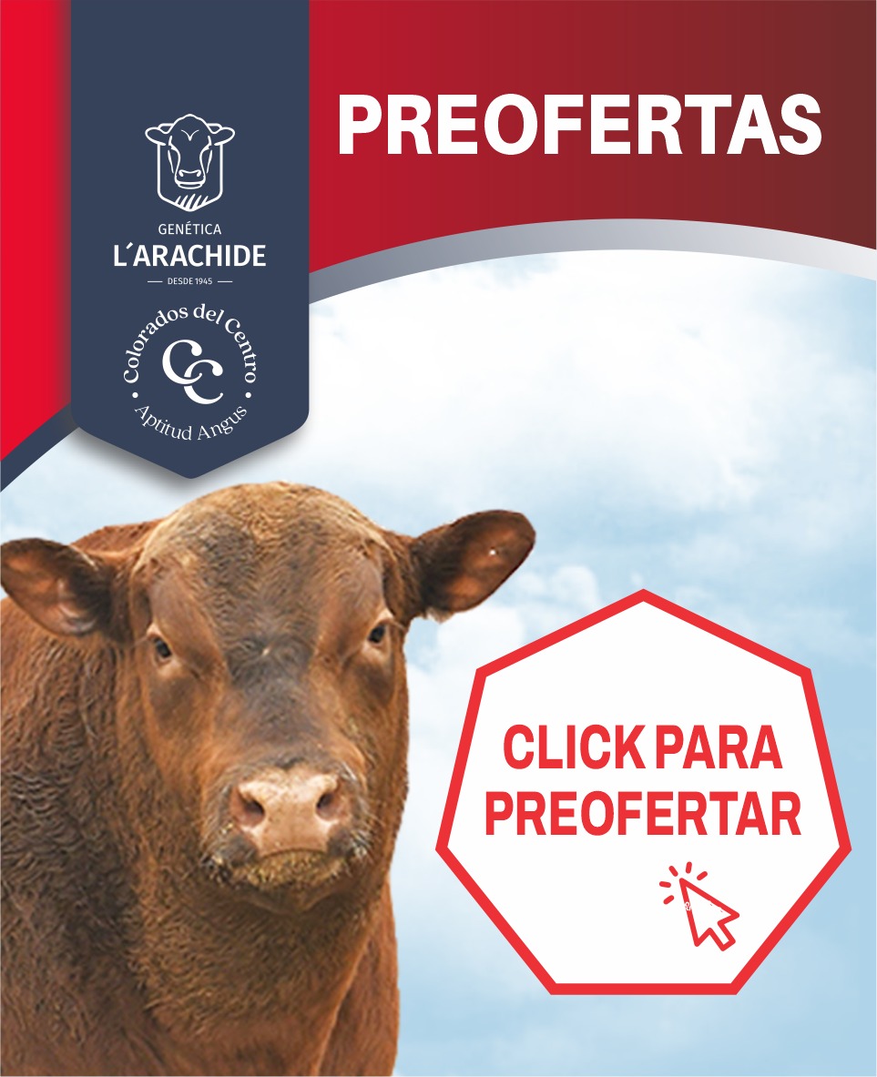 Preofertas — Genética L'Arachide y Los Colorados del Centro. Click para preofertar.